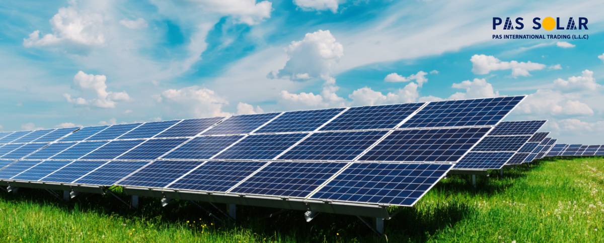Are Solar Panels Bad for the Environment?