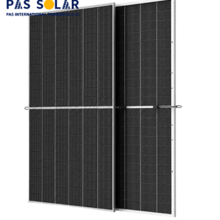 Trina Solar 725W Bifacial Solar Module TSM-NEG21C.20